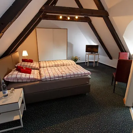 Altes Burghotel 3*